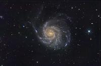 M101