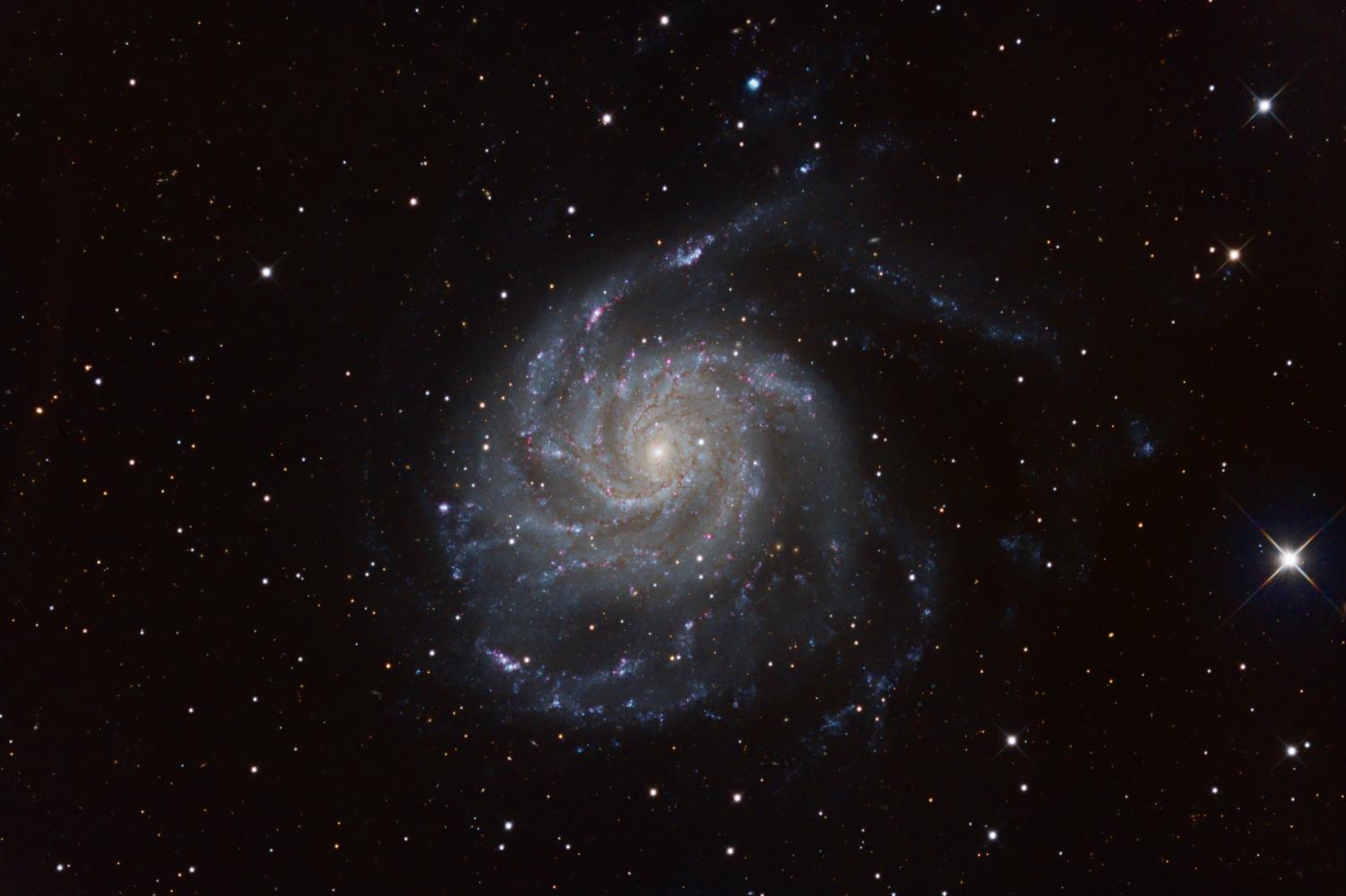 M101