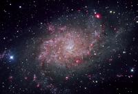 M33