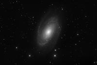 M81