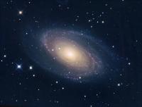 M81