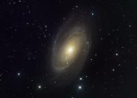 M81