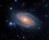 M81