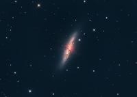 M82