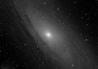 M31