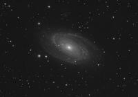 M81