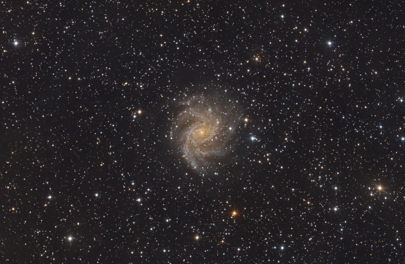 NGC6946