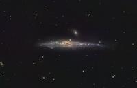 The Whale Galaxy