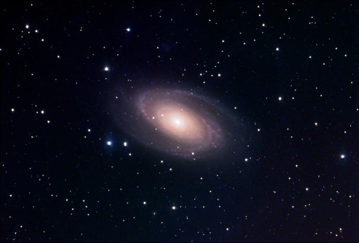M81