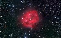 Cocoon Nebula