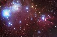 NGC 2264