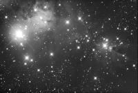 NGC 2264