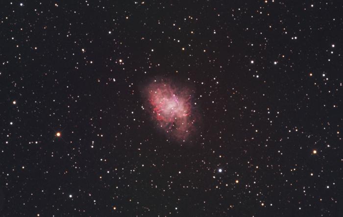 M1