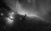 Horsehead in HA