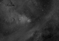 Christmas Tree Nebulae