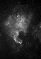North American Nebula