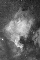 NGC 7000