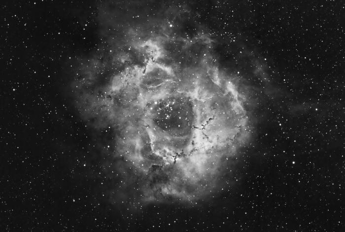 The Rosette Nebula